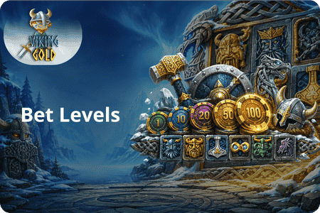 Viking Gold Bet Levels